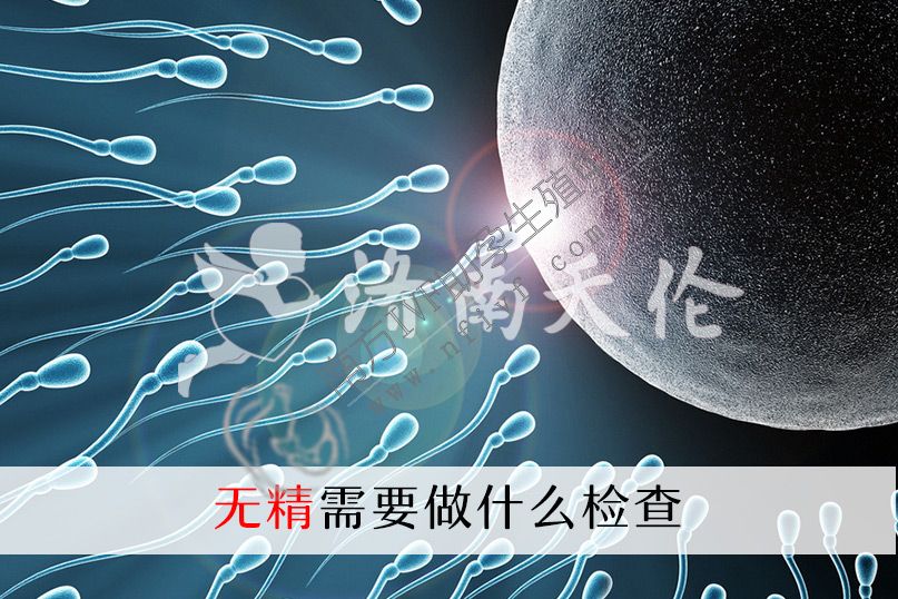 在本指南中了解如何检测无精子症的原因。