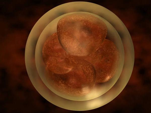 佛山供卵助孕包性别：在佛山的私人诊所，试管婴儿是一种非常有效的帮助夫妻受孕的方法。了解更多好处