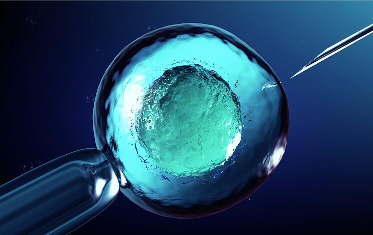 徐州a卵b怀哪家好：试管婴儿胚胎质量评分的意义是什么？