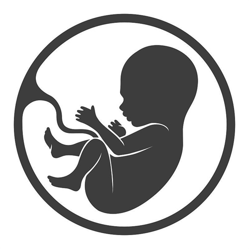 武汉供卵机构交流群-单身人士做试管婴儿流程详解（附试管婴儿医院推荐）。